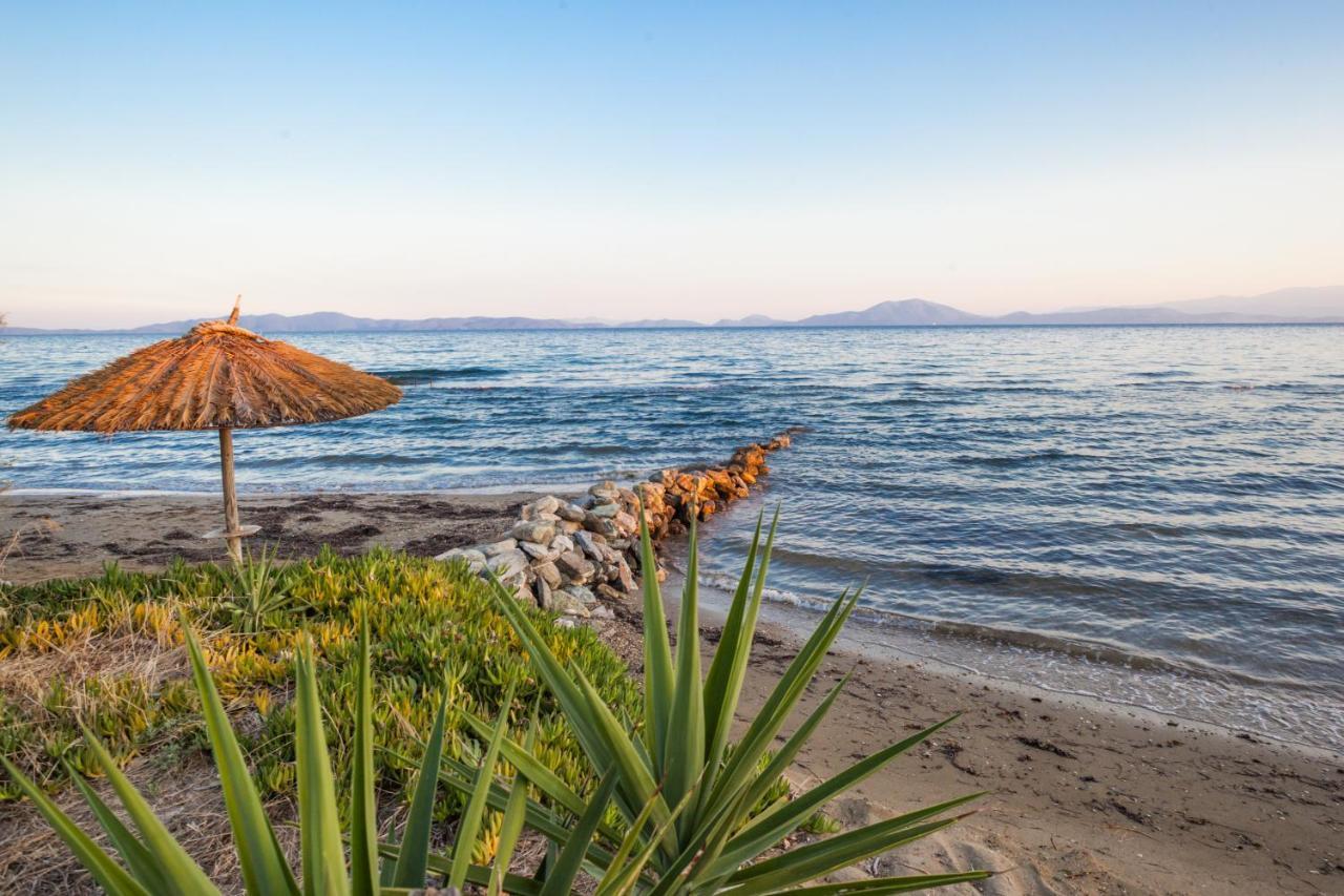 Elite Cottages Káto Lekhónia エクステリア 写真