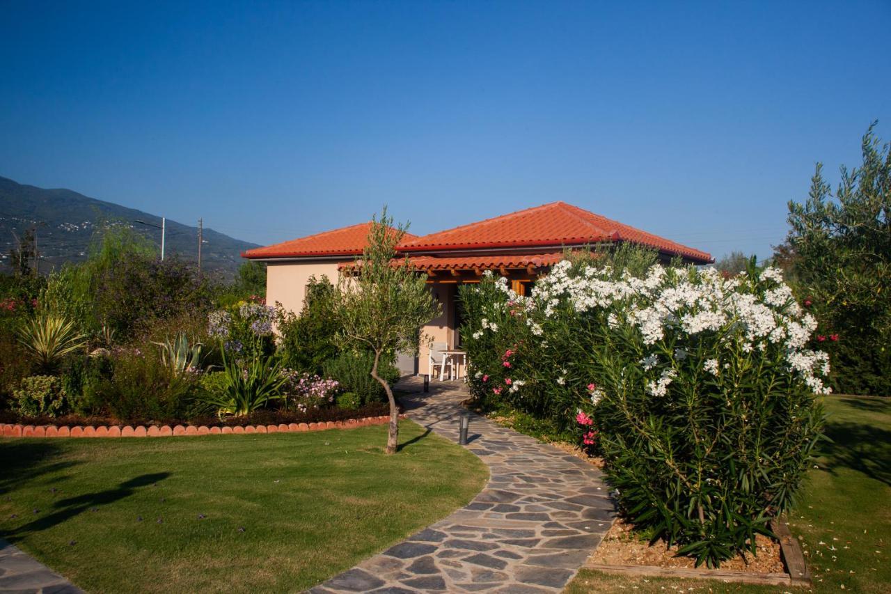 Elite Cottages Káto Lekhónia エクステリア 写真
